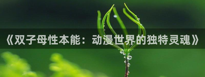 魔力女战士1991动漫：《双子母性本能：动漫世界的独特灵魂》