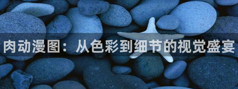 91动漫免费版精选：肉动漫图：从色彩到细节的视觉盛宴