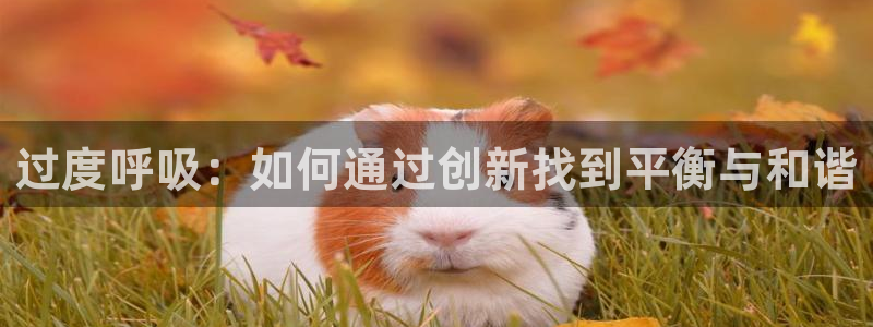 91动漫在线观看视频：过度呼吸：如何通过创新找到平衡与和谐