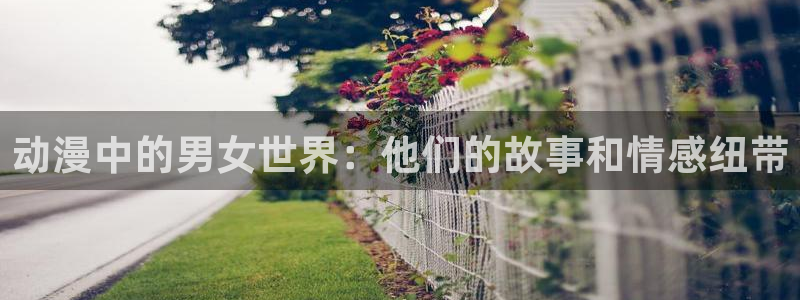 91动漫免费极速版大全：动漫中的男女世界：他们的故事和情感纽带