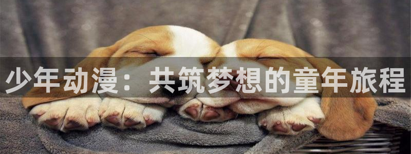 91动漫免费版精选：少年动漫：共筑梦想的童年旅程