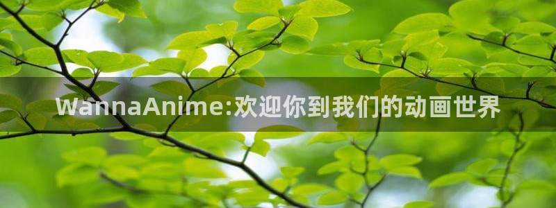 91动漫快看：WannaAnime:欢迎你到我们的动画世界